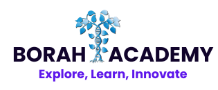 borahacademy